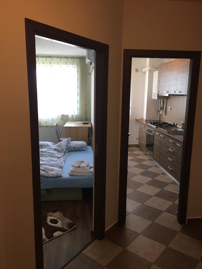Paul'S Apartment คลูจ-นาโปกา ภายนอก รูปภาพ