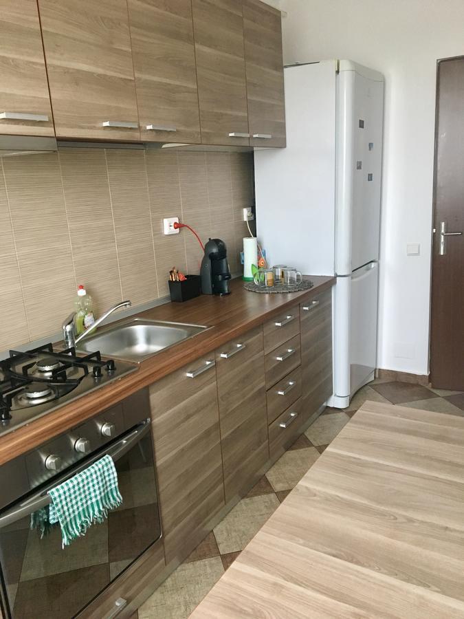 Paul'S Apartment คลูจ-นาโปกา ภายนอก รูปภาพ